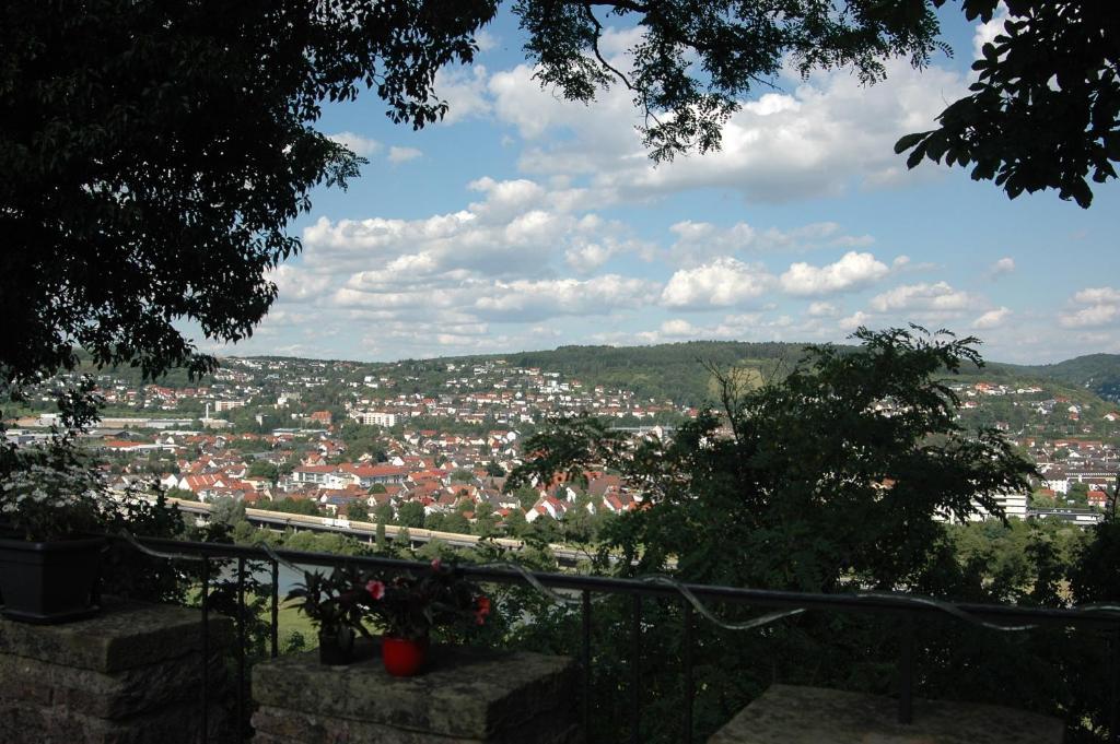 فندق موسباخفي  Schloss Neuburg المظهر الخارجي الصورة